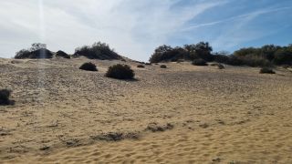 2023-GC--Mapalomas dunas-S123-220.jpg